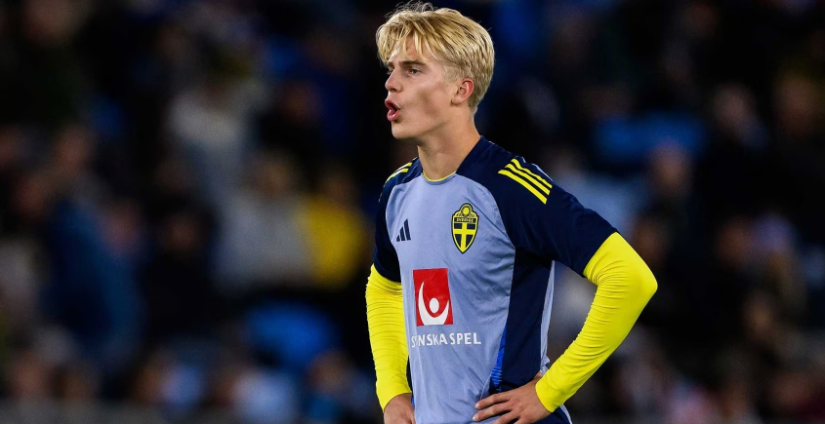 人橄榄球赛 人橄榄球赛