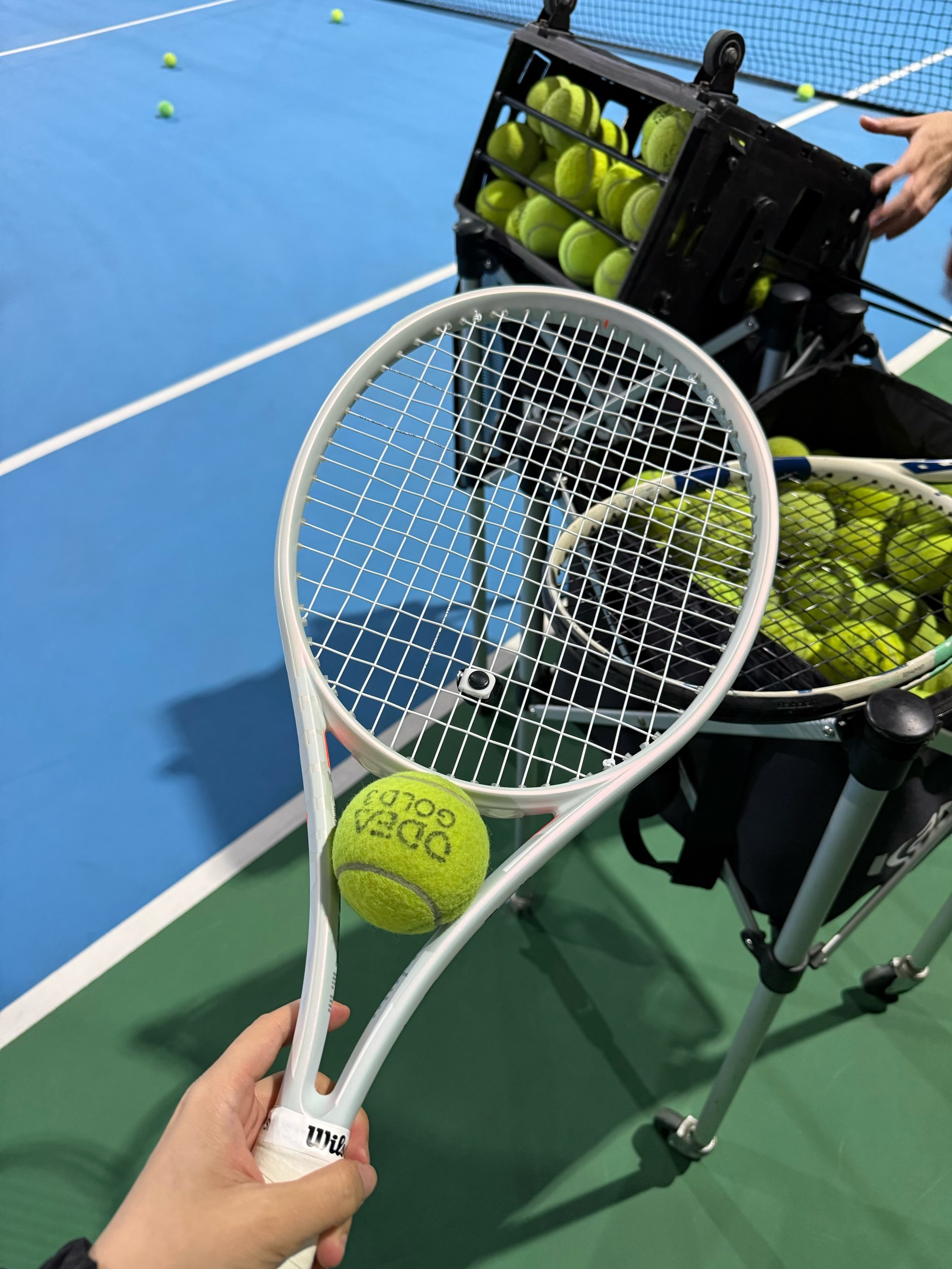 争取派出年 争取派出年